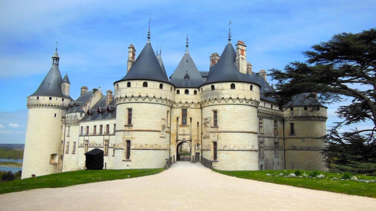 La Casa D'Olianna - Jolie Maison / Jeux / Grand Jardin Villeny Eksteriør billede